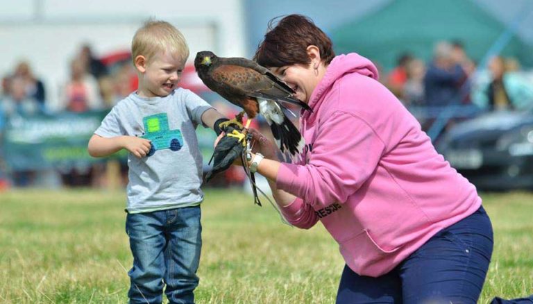 Bird Shows, Events & School Visits | Wise Owl Bird of Prey Rescue